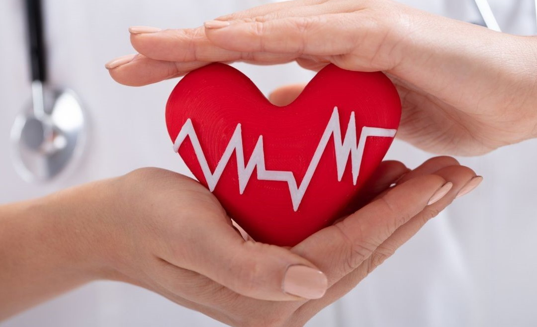 Heart