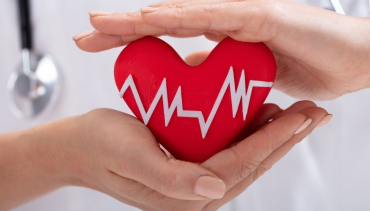Heart