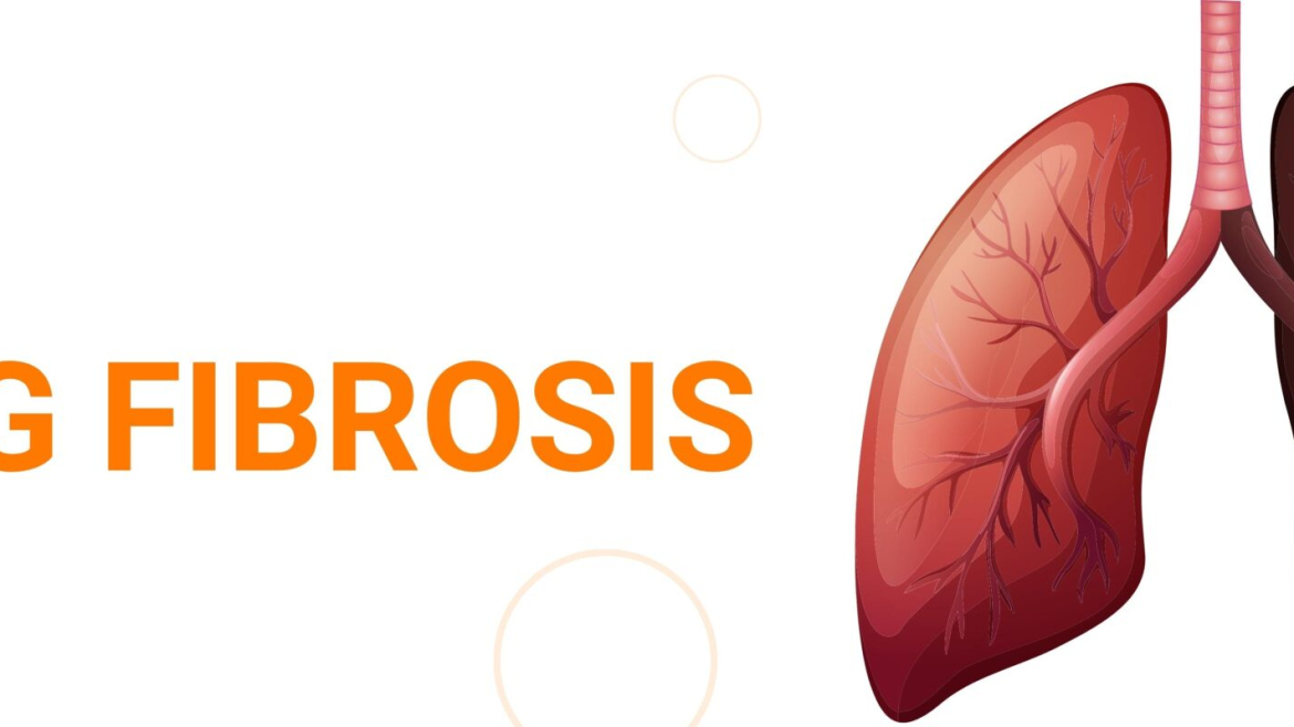 Chest/Lungs